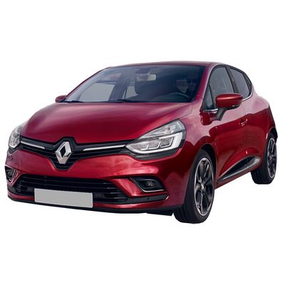 TOLE PORTE AR G R CLIO 2012